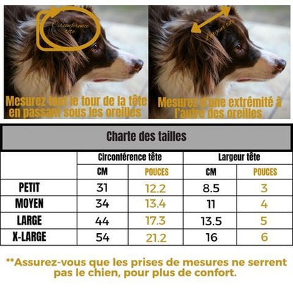 Casquette chien Rosco: guides de mesure tête, photos côte à côte avec circonférence et longueur du museau, tableau de tailles et conseil confort du chien.