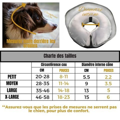 Collerette Chien / Jackson - Mon Chien Charlie