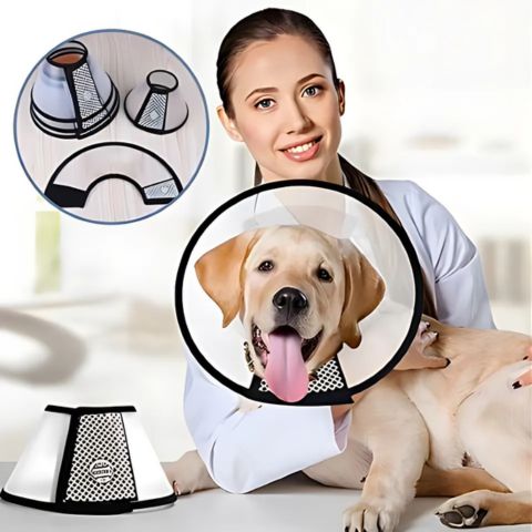 Collerette Chien / Madox - Mon Chien Charlie