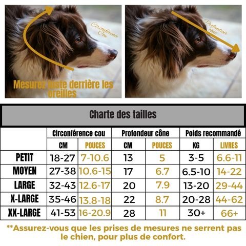 Collerette Chien / Madox - Mon Chien Charlie