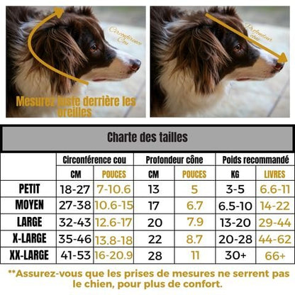 Collerette Chien / Madox - Mon Chien Charlie