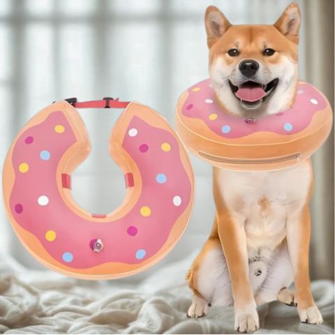 Collerette Chien / Marley - Mon Chien Charlie