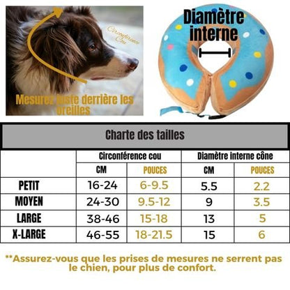 Collerette Chien / Marley - Mon Chien Charlie