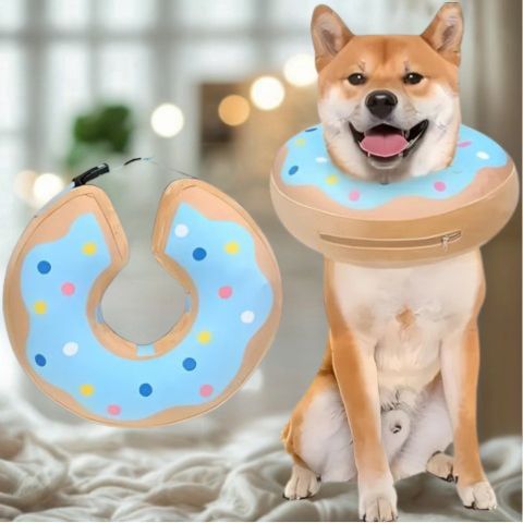 Collerette Chien / Marley - Mon Chien Charlie