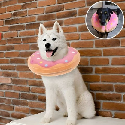 Collerette Chien / Marley - Mon Chien Charlie