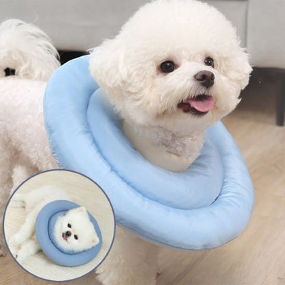 Collerette Chien / Maxy - Mon Chien Charlie