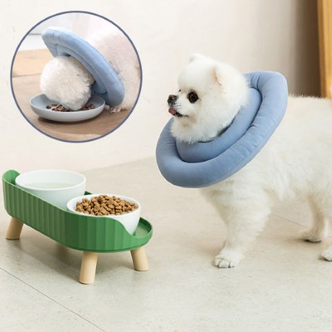 Collerette Chien / Maxy - Mon Chien Charlie