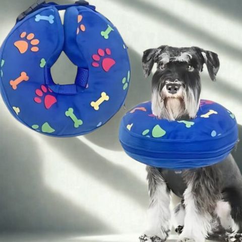 Collerette Chien / Poppy souple