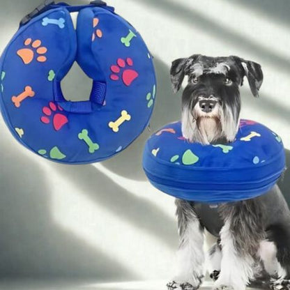 Collerette Chien / Poppy souple