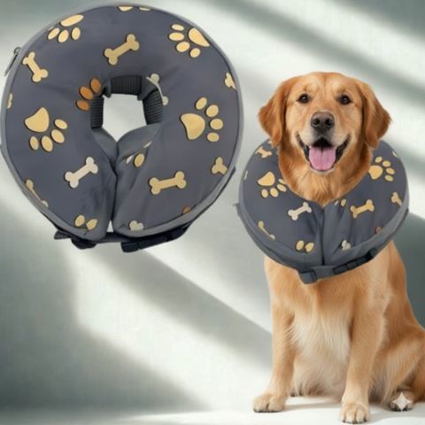 Collerette Chien / Poppy empeche lechage