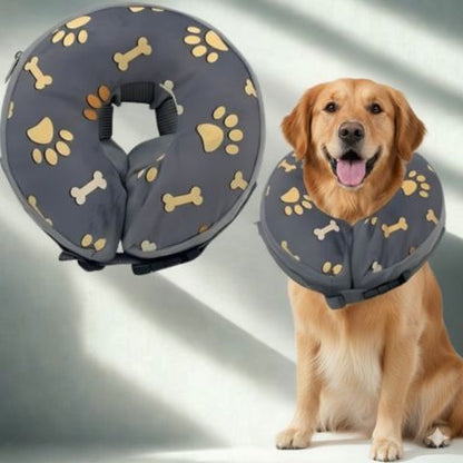 Collerette Chien / Poppy empeche lechage