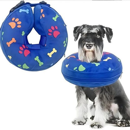 Collerette Chien / Poppy - Mon Chien Charlie
