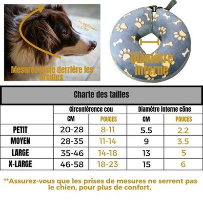 Collerette Chien / Poppy - Mon Chien Charlie