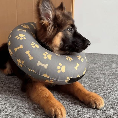 Collerette Chien / Poppy ajustable