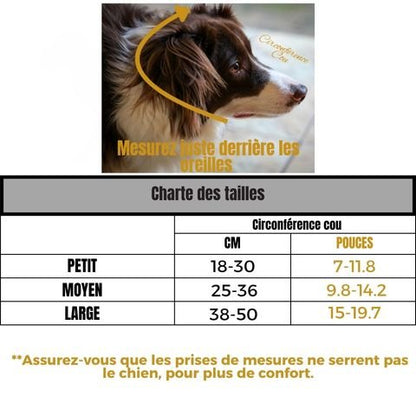 Collerette Chien / Rosco - Mon Chien Charlie