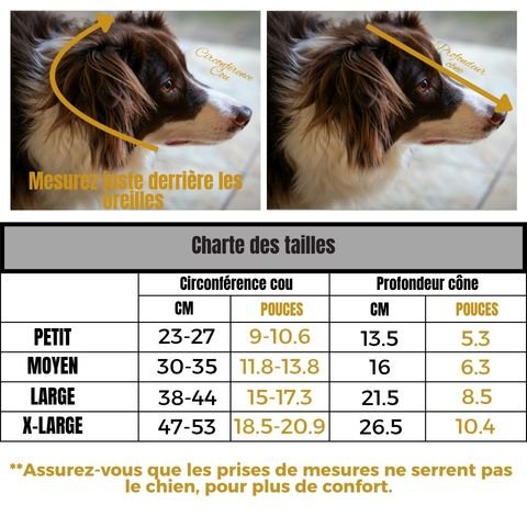 Collerette Chien / Tinour - Mon Chien Charlie