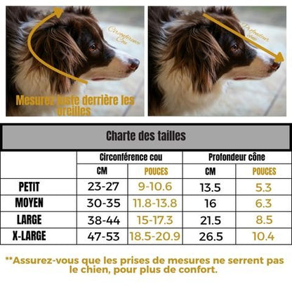 Collerette Chien / Tinour - Mon Chien Charlie