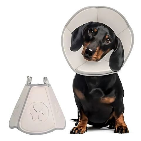 Collerette Chien / Zara - Mon chien Charlie