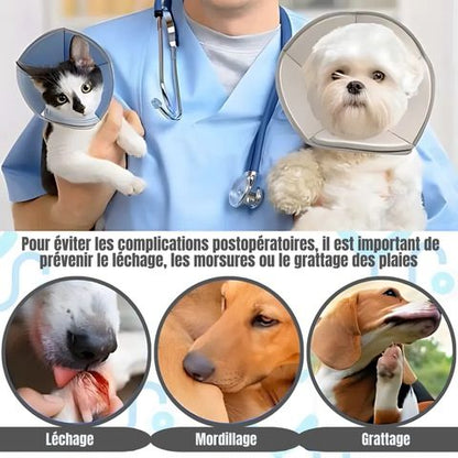 Collerette Chien / Zara - Mon Chien Charlie