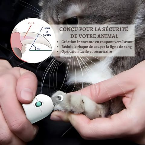 Coupe Ongle Chien / Balou - Mon chien Charlie