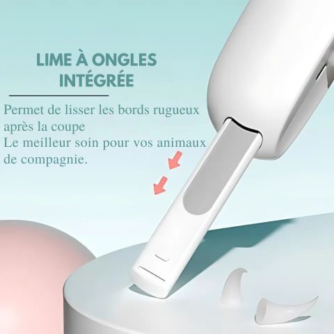 Coupe Ongle Chien / Balou - Mon Chien Charlie