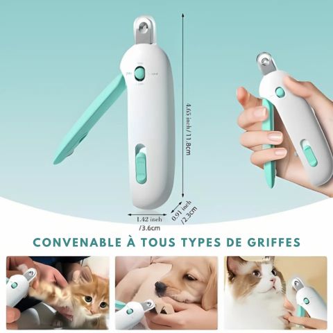 Coupe Ongle Chien / Balou - Mon chien Charlie
