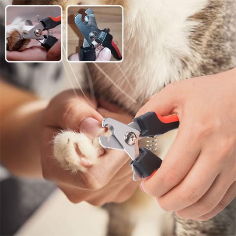 Coupe Ongle Chien / Charlie - Mon Chien Charlie