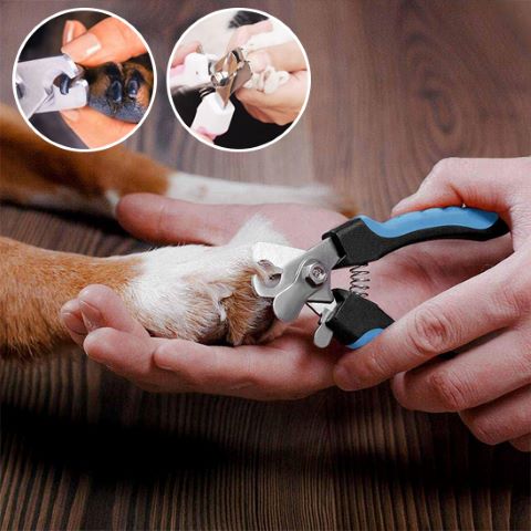 Coupe Ongle Chien / Charlie - Mon Chien Charlie