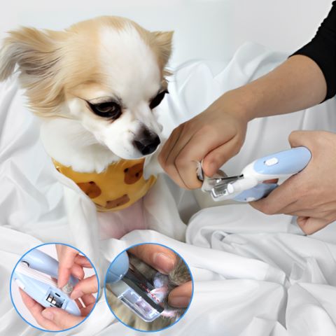 Coupe Ongle Chien / Fidgy - Mon Chien Charlie