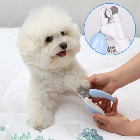 Coupe Ongle Chien / Fidgy - Mon Chien Charlie