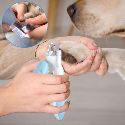 Coupe Ongle Chien / Fidgy - Mon Chien Charlie