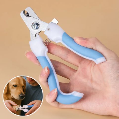 Coupe Ongle Chien / Ivy - Mon Chien Charlie