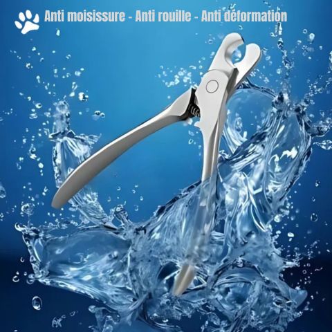 Coupe Ongle Chien / Madox - Mon chien Charlie