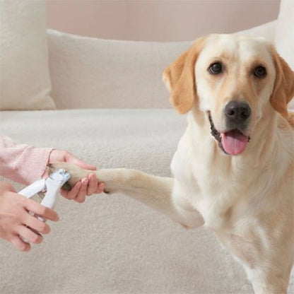 Coupe Ongle Chien / Zoé - Mon Chien Charlie