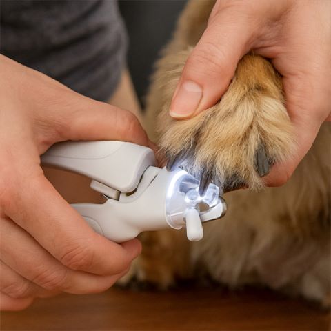 Coupe Ongle Chien / Zoé - Mon Chien Charlie