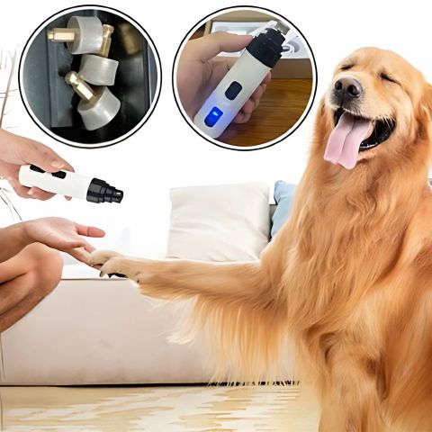 Coupe Ongle Pour Chien / Zara - Mon chien Charlie
