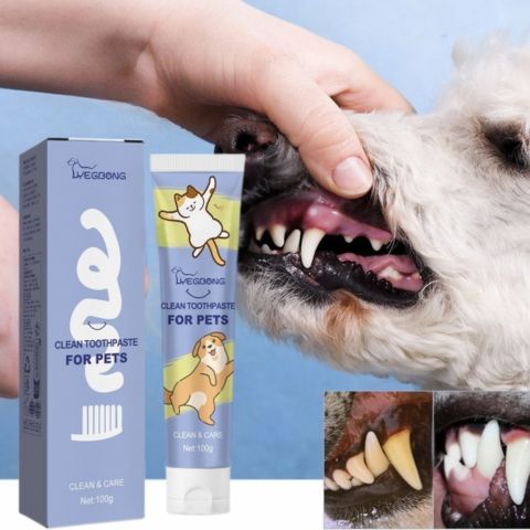 Dentifrice Chien / Pacane - Mon Chien Charlie