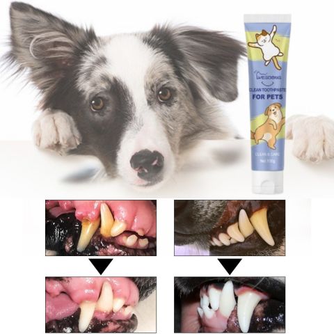 Dentifrice Chien / Pacane - Mon Chien Charlie