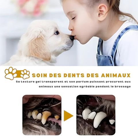 Dentifrice Chien / Pacane - Mon Chien Charlie