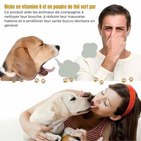 Dentifrice Chien / Pacane - Mon Chien Charlie
