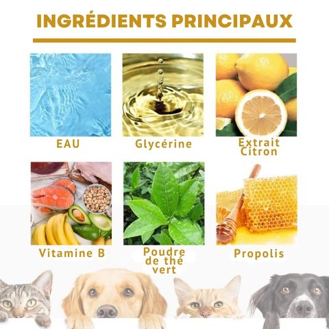 Dentifrice Chien / Pacane - Mon Chien Charlie