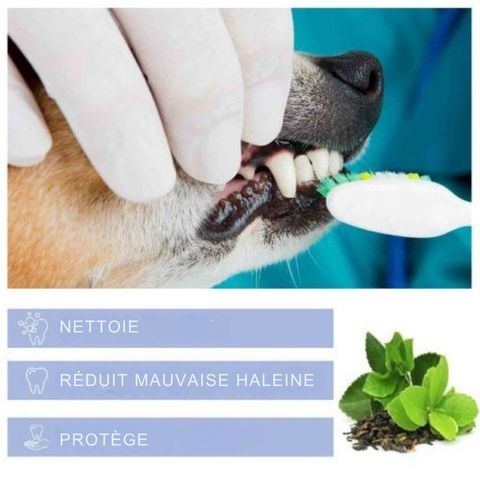 Dentifrice Chien / Pacane - Mon Chien Charlie
