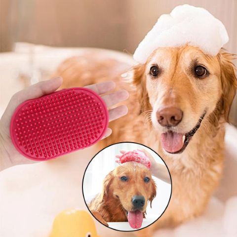 Gant De Toilettage / Zara - Mon Chien Charlie