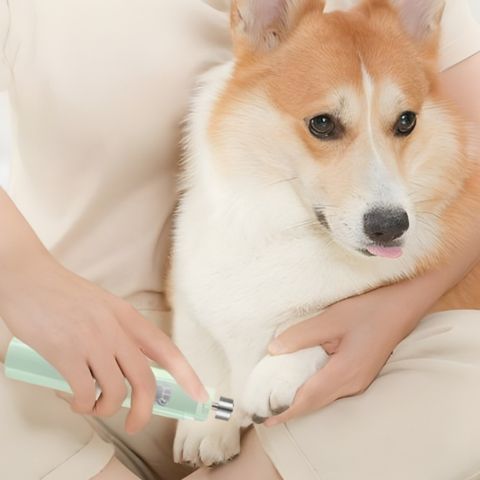 Meuleuse Ongle Chien / Méo - Mon Chien Charlie