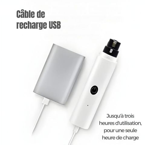 Meuleuse Ongle Chien / Shrek - Mon Chien Charlie