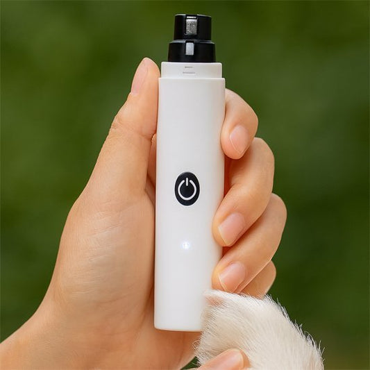 Meuleuse Ongle Chien / Shrek - Mon Chien Charlie