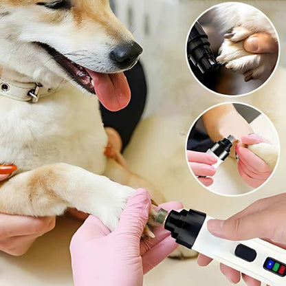 Meuleuse Ongle Chien / Zara - Mon Chien Charlie