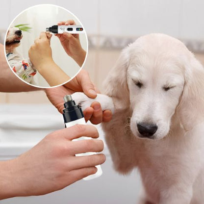 Meuleuse Ongle Chien / Zara - Mon Chien Charlie