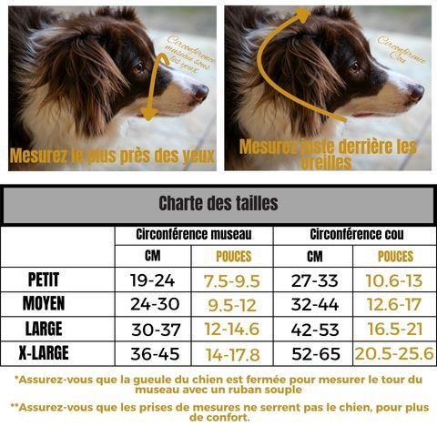 Muselière Chien / Capi - Mon Chien Charlie