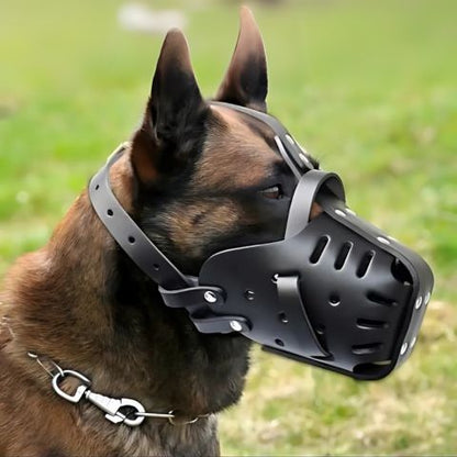 Muselière Chien / Fidgy - Mon Chien Charlie